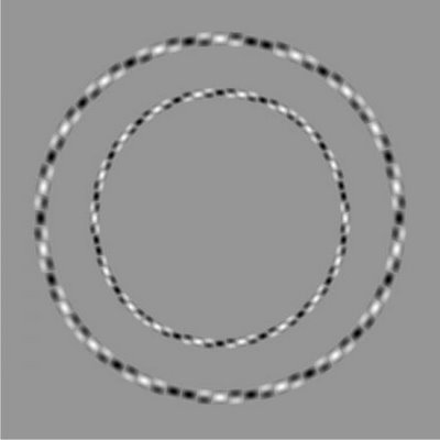 Les cercles déformés de Kitaoka