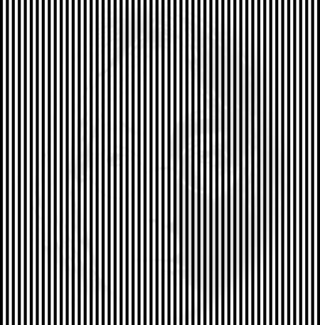 L'image cachée