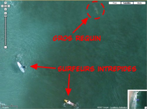 Google Maps, les surfeurs et le requin