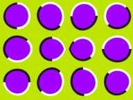 Illusion des grains de raisin, détail